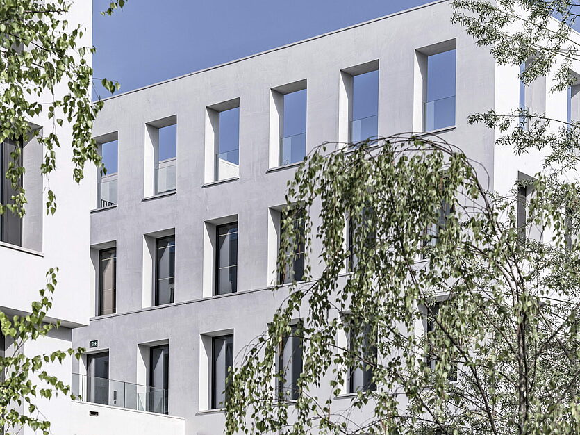 Modern white façade of the JED Schlieren with narrow windows and a tree in the foreground